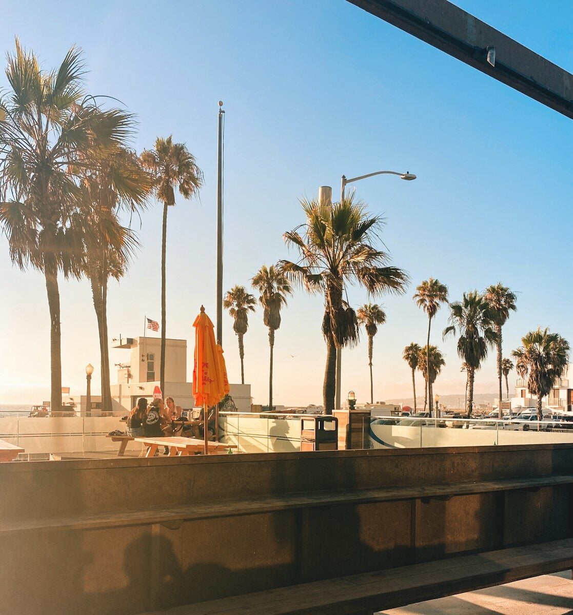 a view of palm trees and a beach from a balcony